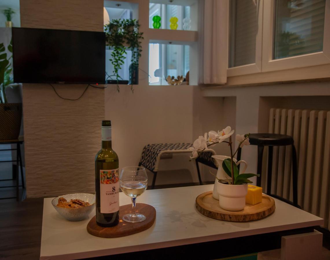 Sensational View - Zemun *